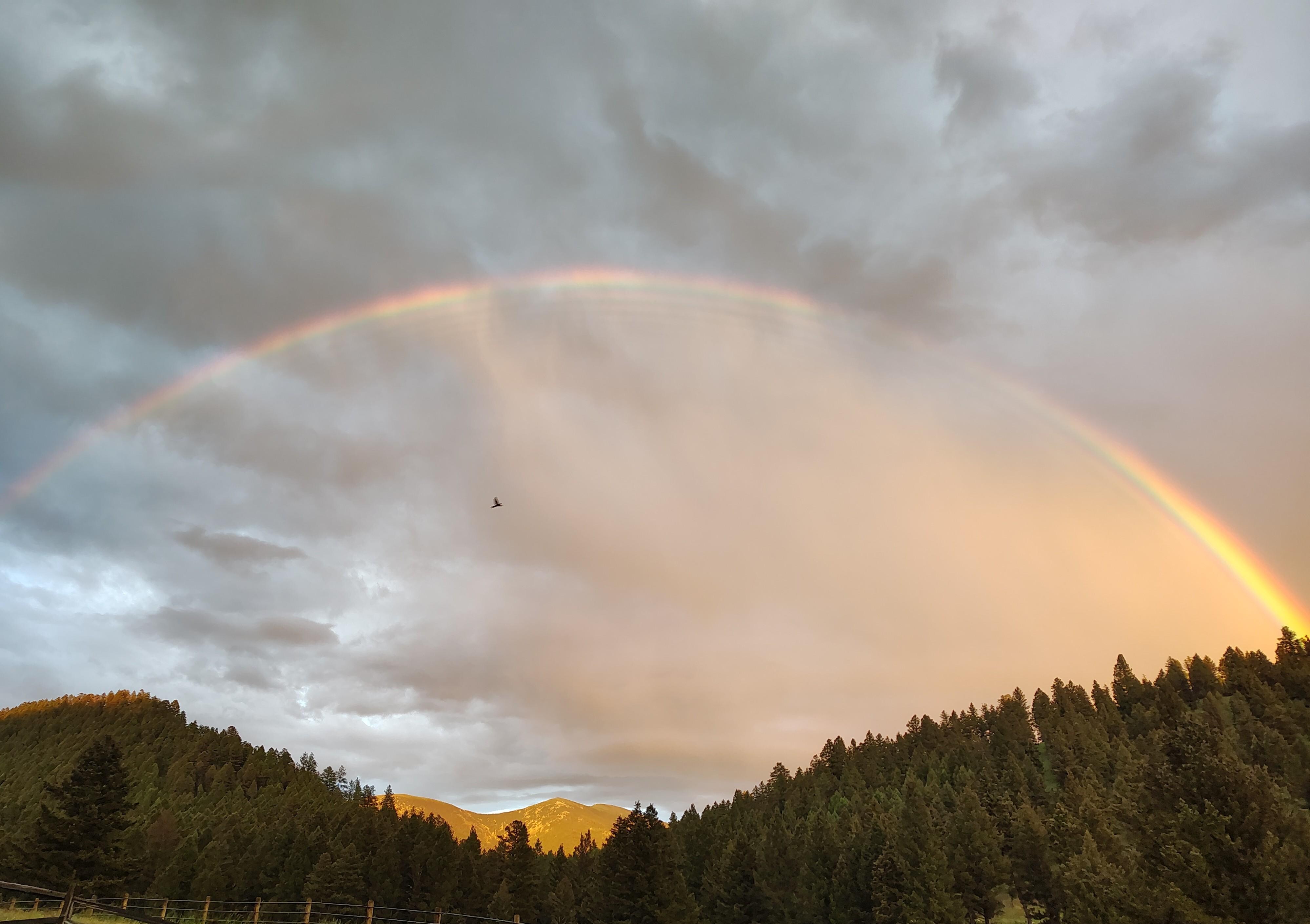 A magical picture after the rain! 