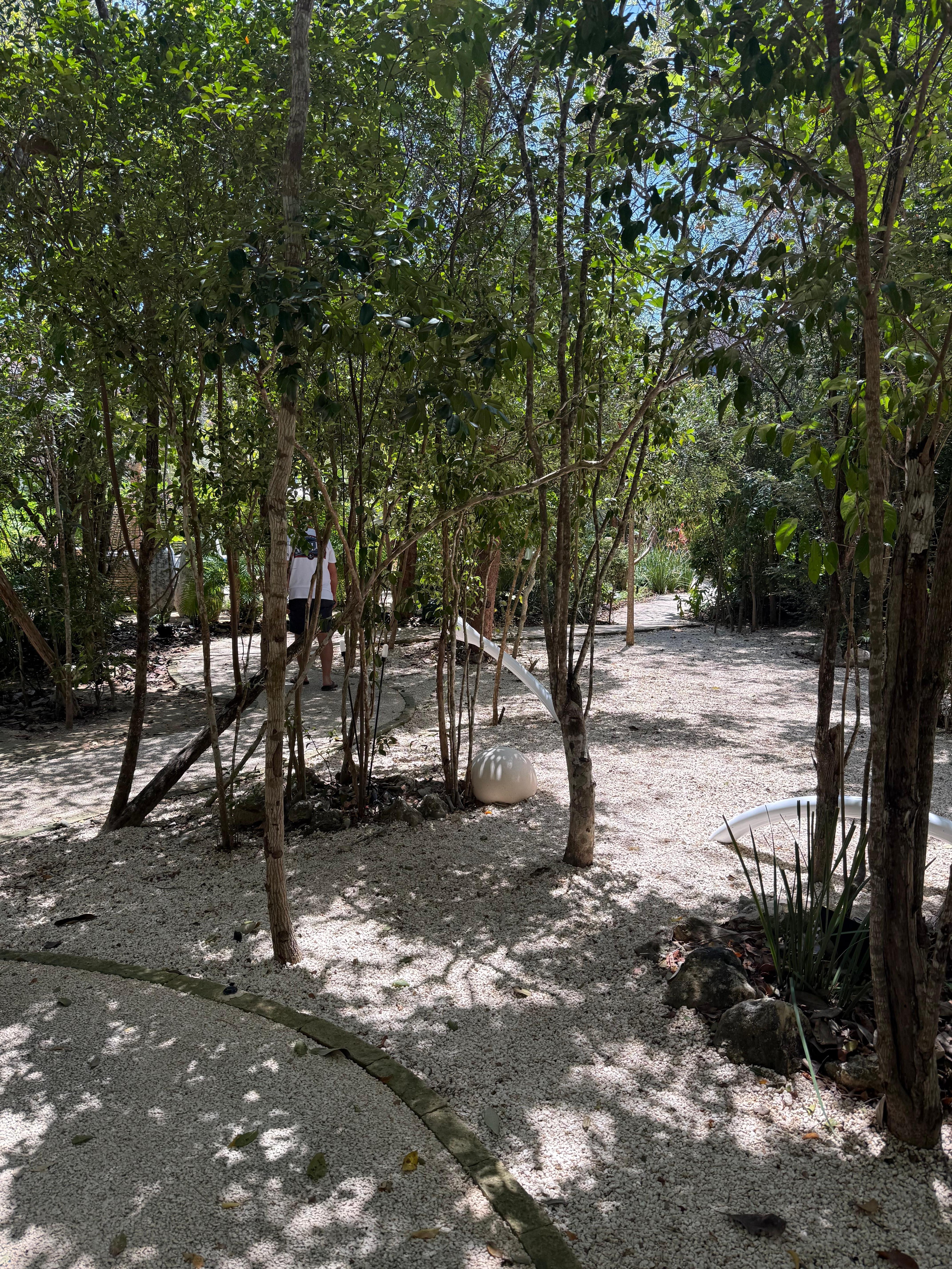 Walk way to the room