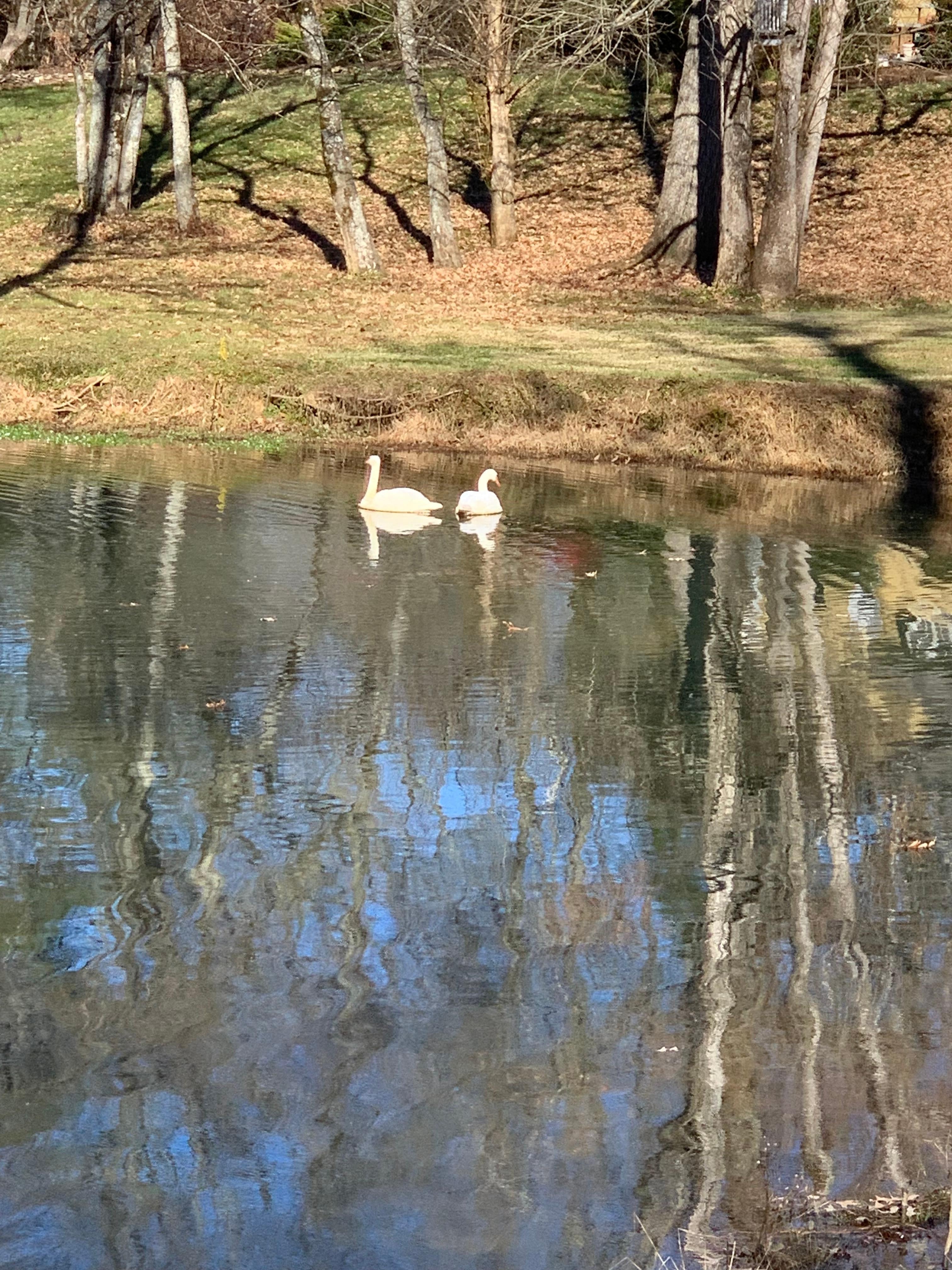 Lake , all of it makes you slow down and give thanks. 