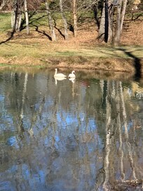 Lake , all of it makes you slow down and give thanks.