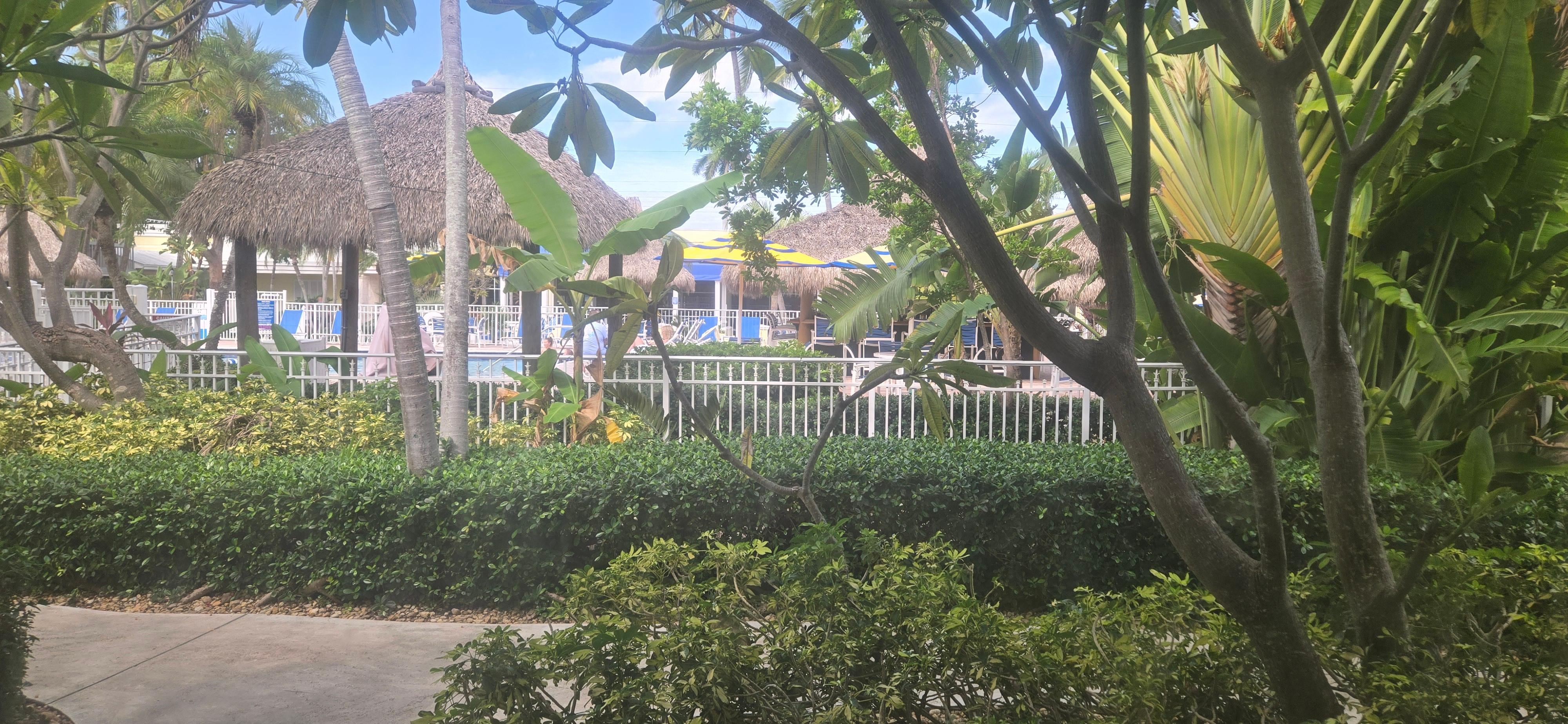 Beautiful pool  and property 