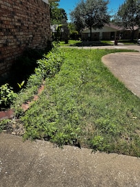 Side yard