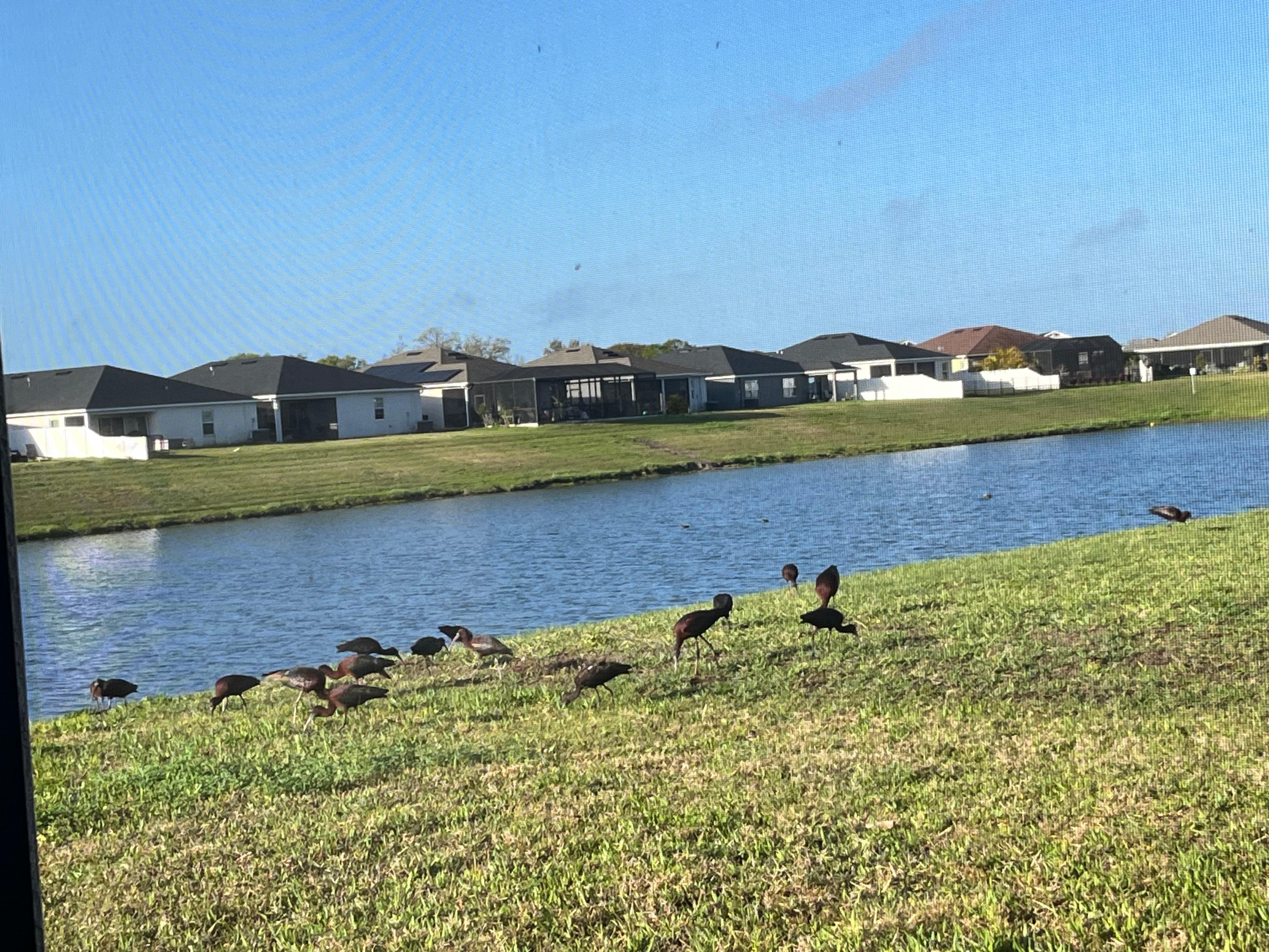 View from the lanai at the house. 