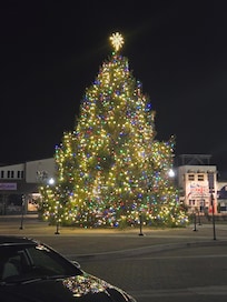 Christmas tree on the boardwalk.