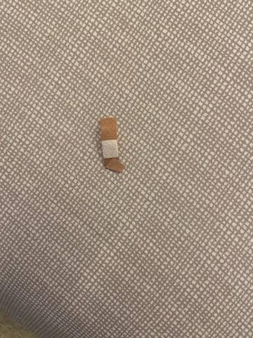 Bandail found in king bed as we were re-making it because the top sheet was placed under the fitted sheet. All of the bedspreads had stains on them.