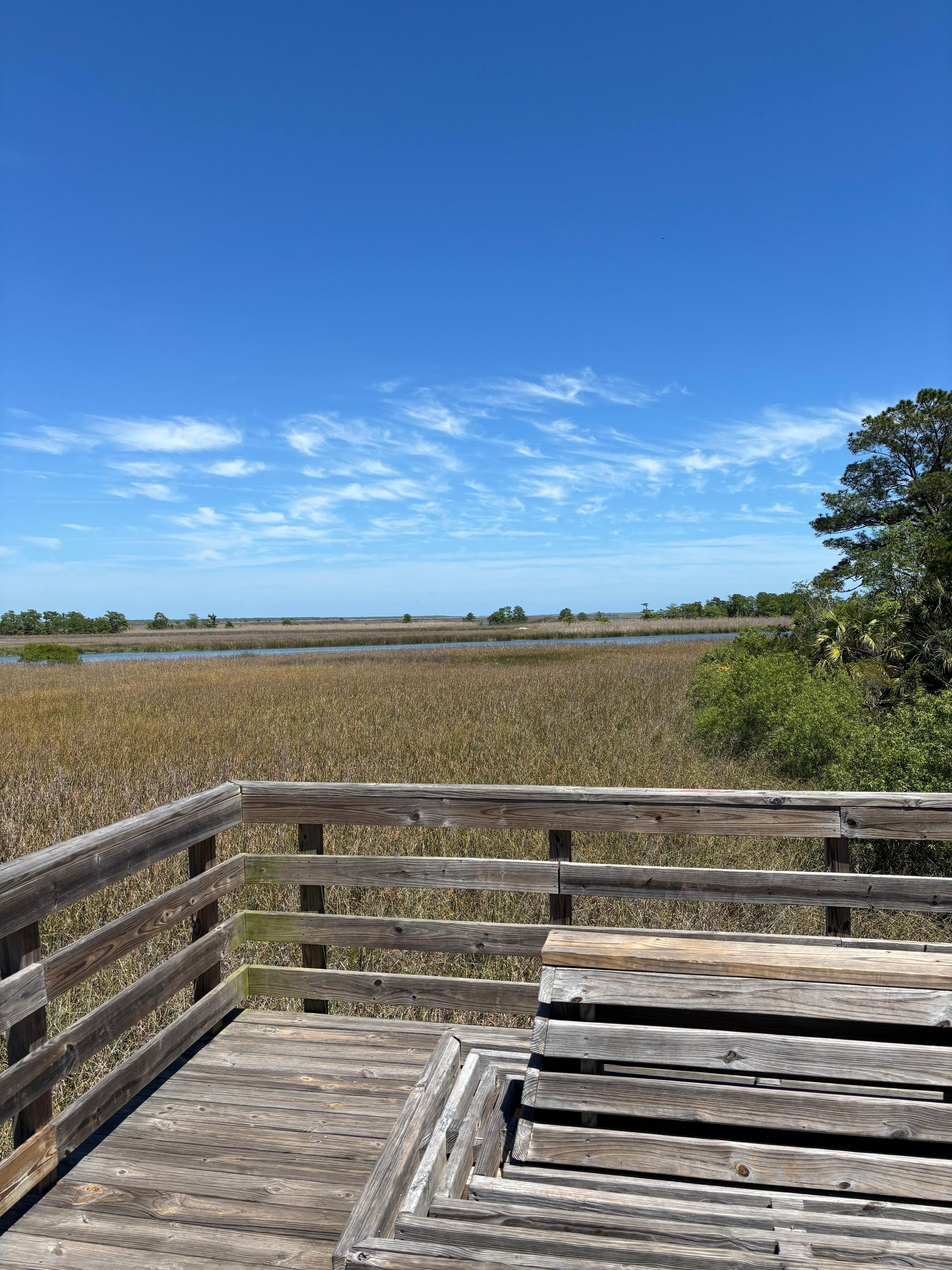 Boardwalk 