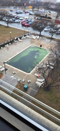 Pool area gross. Obviously out of season in February, but why isn't it professionally closed with a cover? There's furniture in it!!!