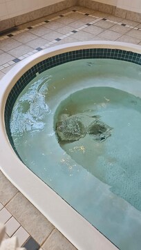 Top cover off in hot tub