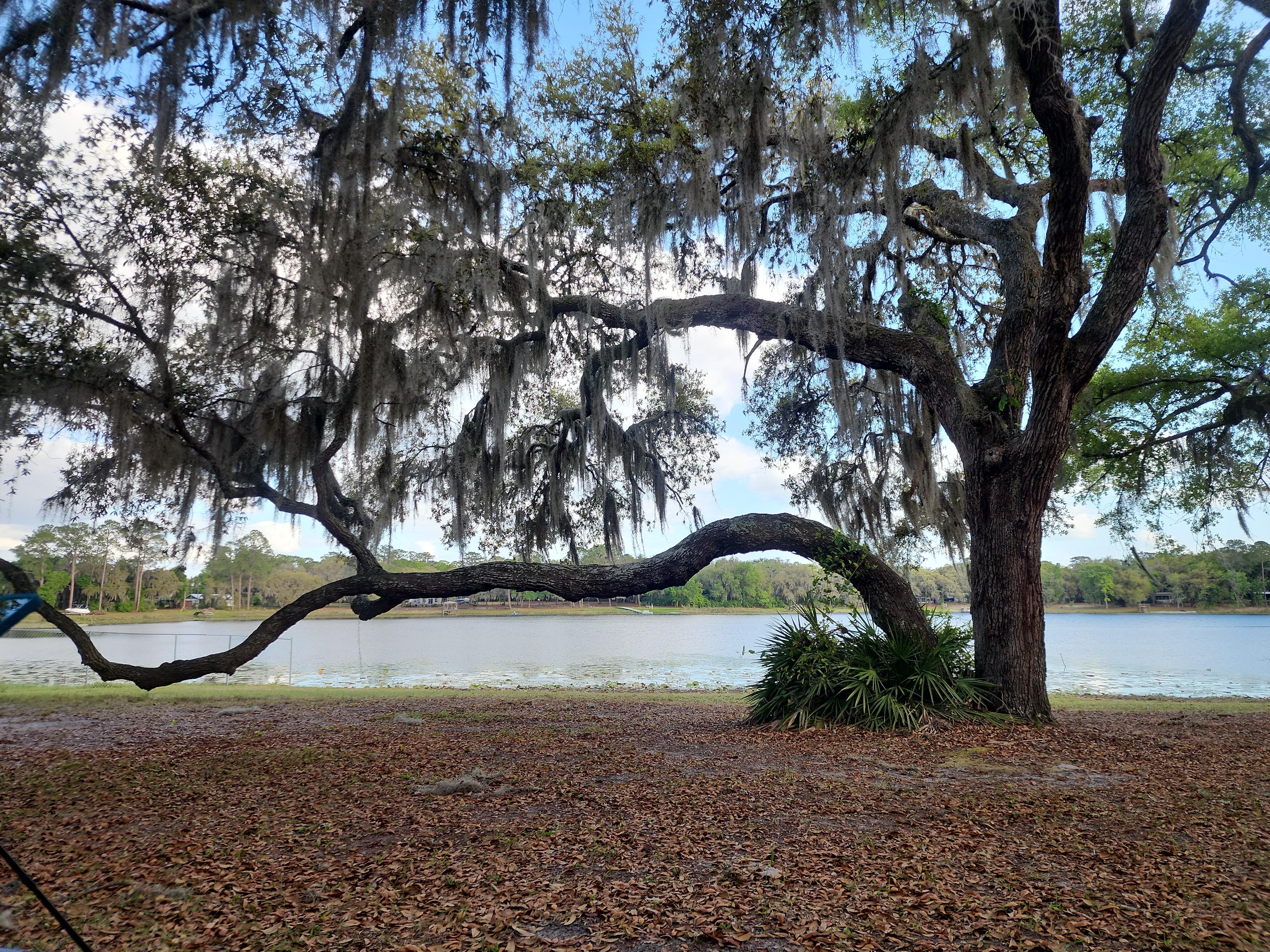 Beautiful view of lake from house