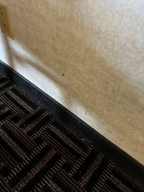Blemish in the wall