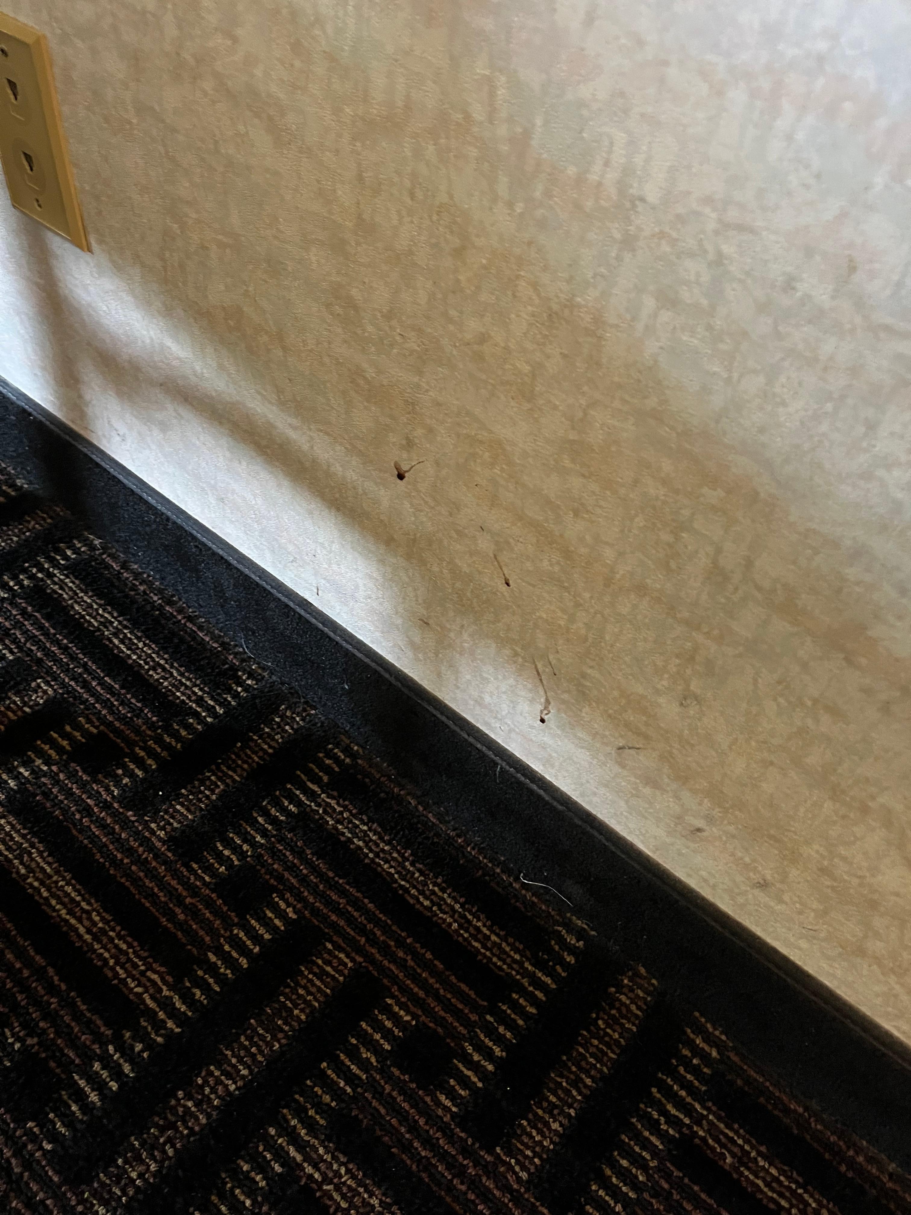 Blemish in the wall