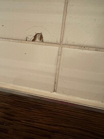 damaged tile