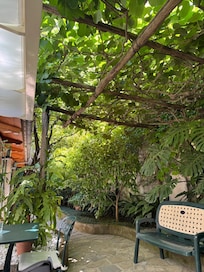 The garden at the front