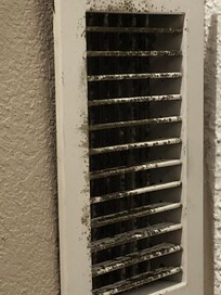 BLACK MOLD IN A/C VENT