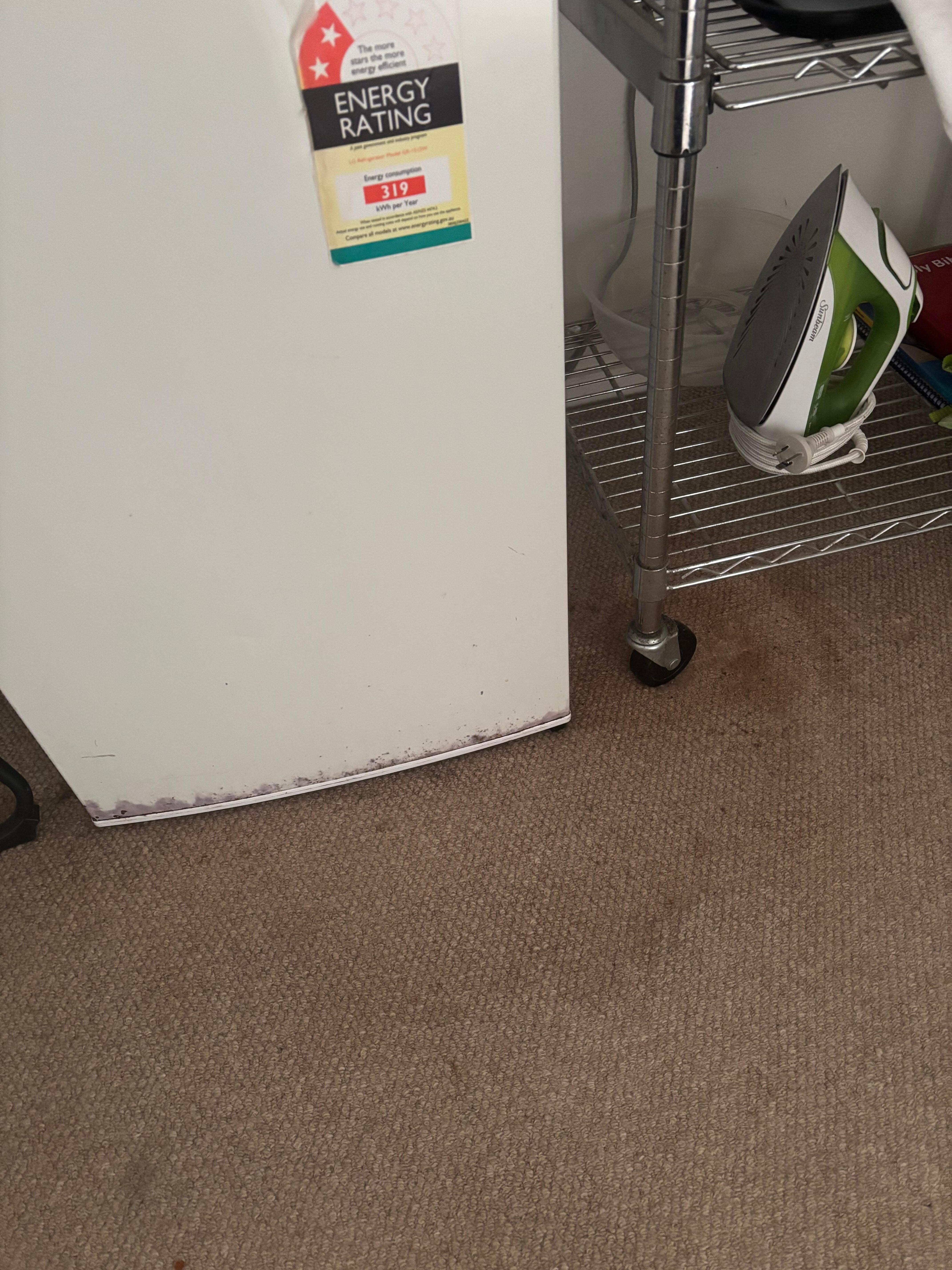 Stains on carpet.