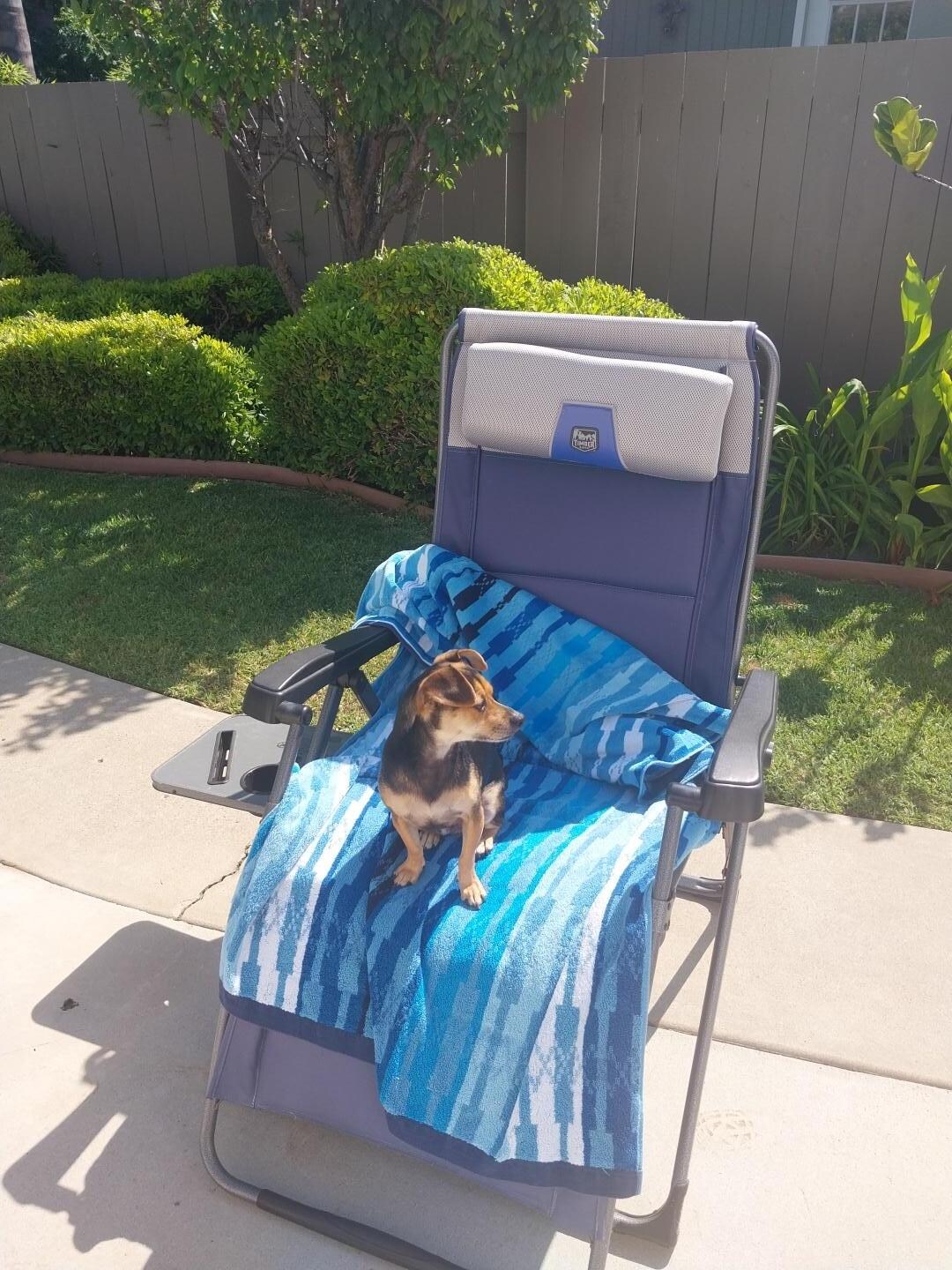 Sun bathing 