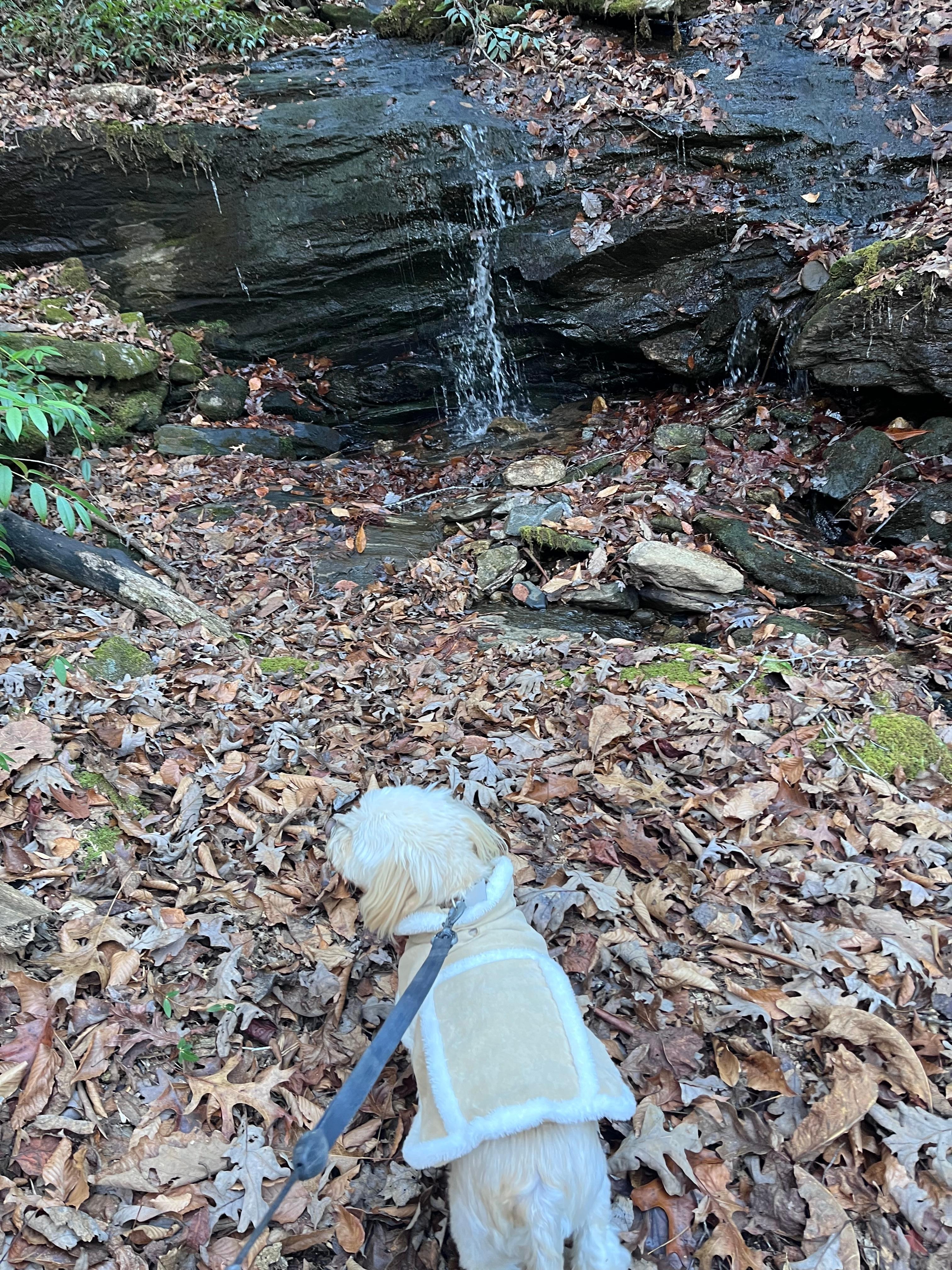 Gabriel walking to one of the beautiful falls.