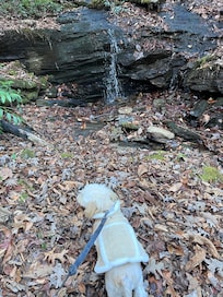 Gabriel walking to one of the beautiful falls.