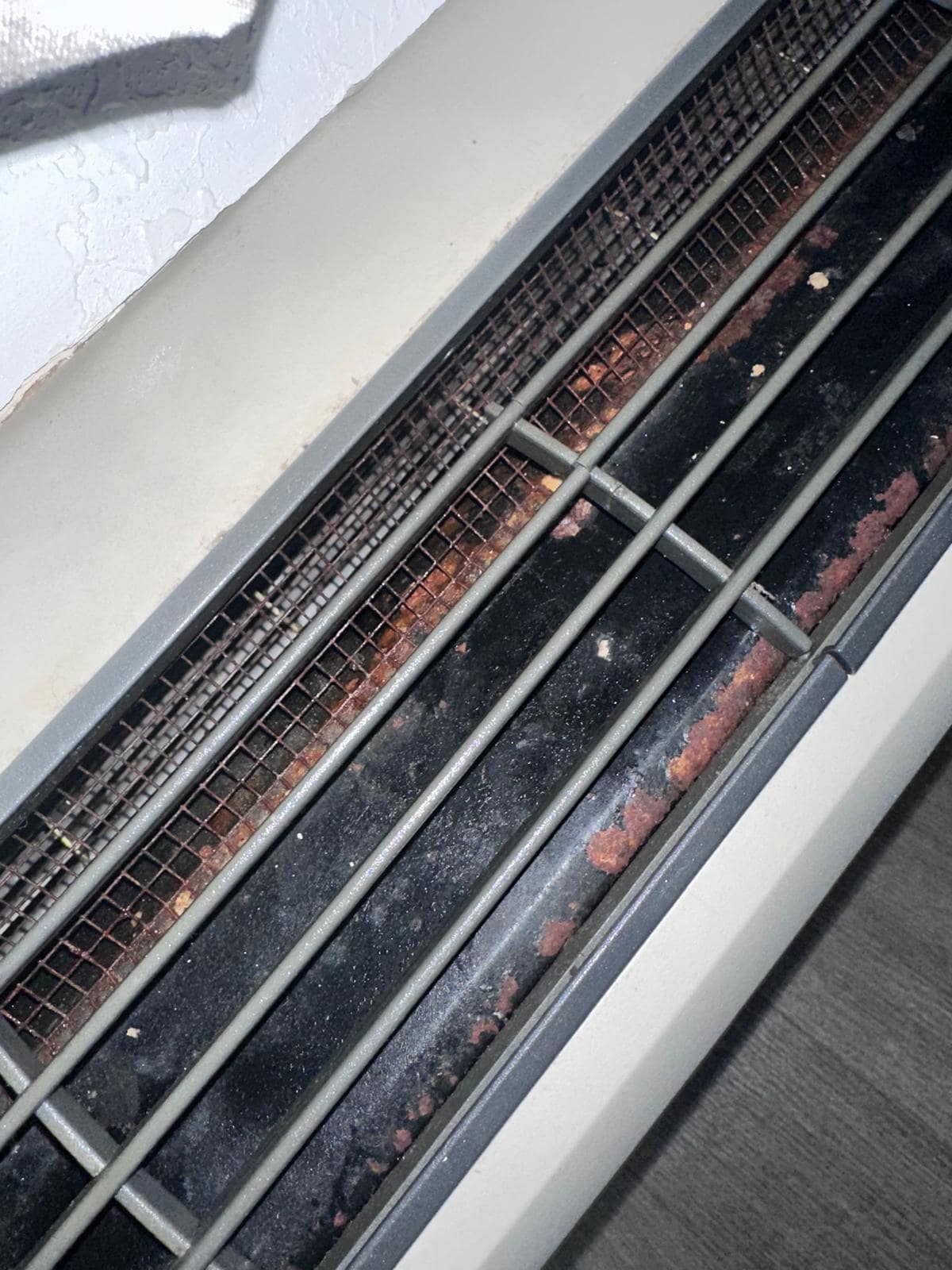 Rusted and moldy AC Unit