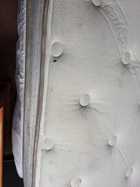 Mattress springs popping through & dirty & gross