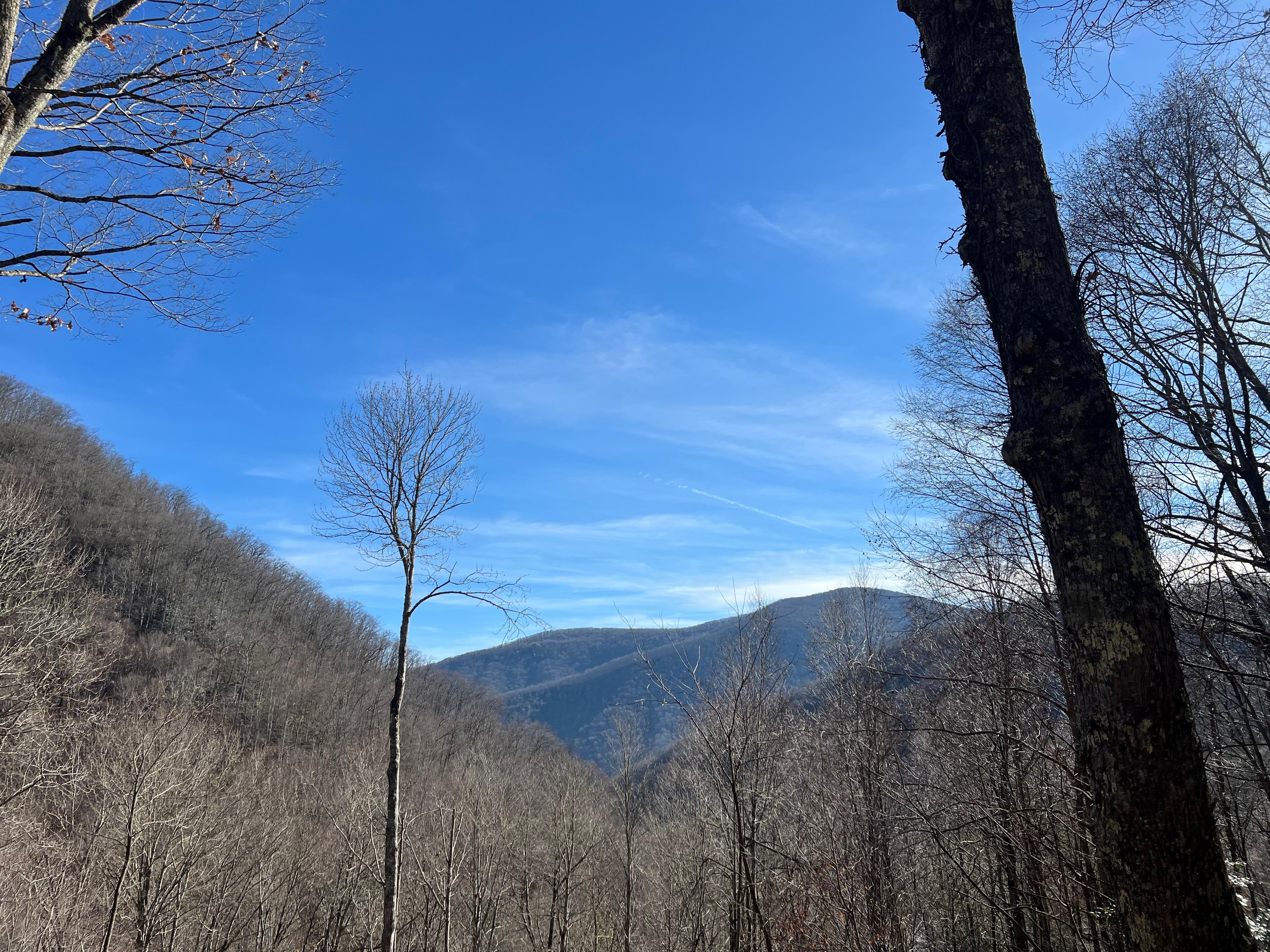 View off back patio!