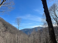 View off back patio!