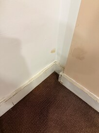 Mould everywhere