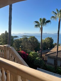 View from the house.