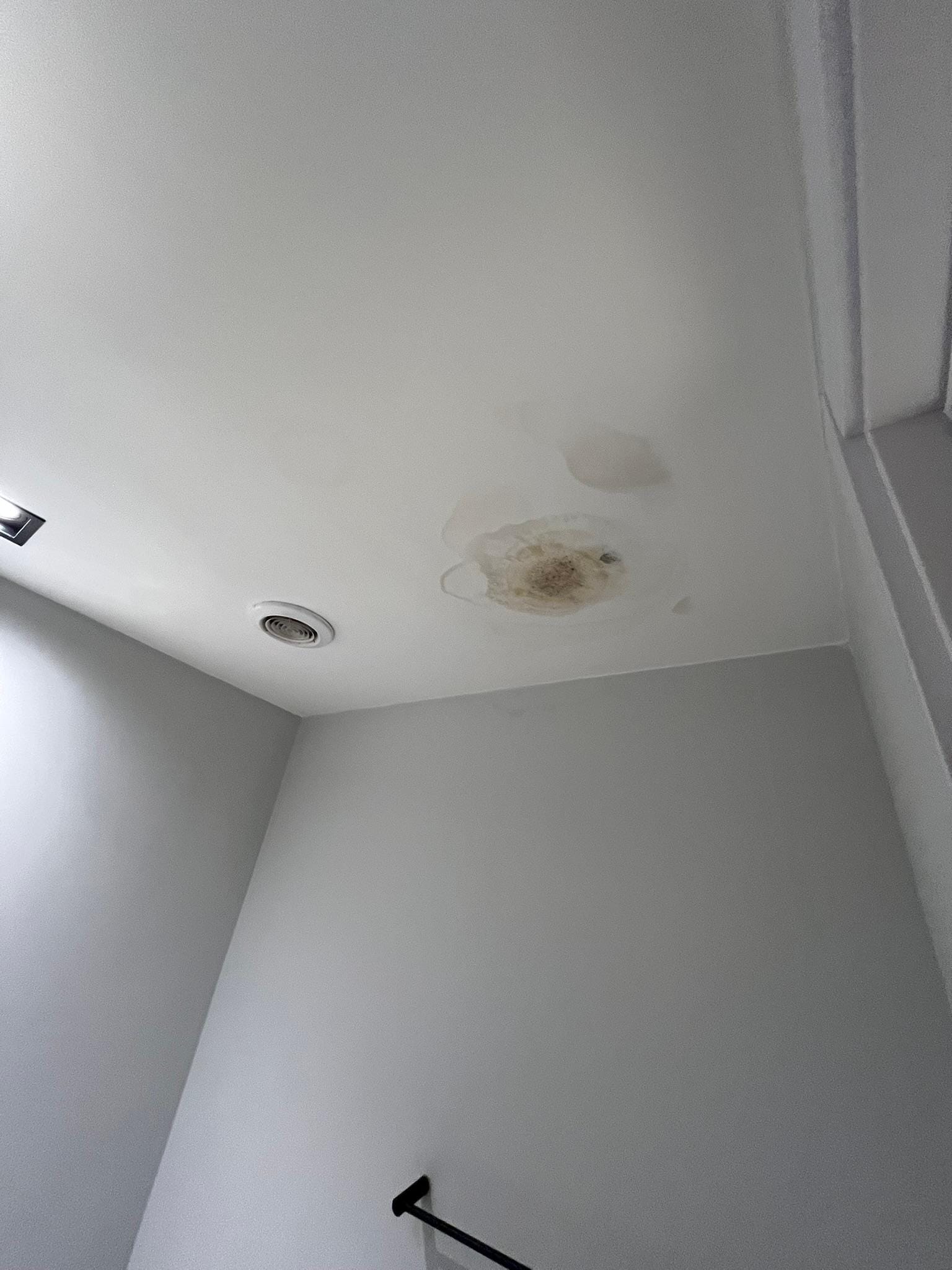 Infiltração no forro do banheiro.