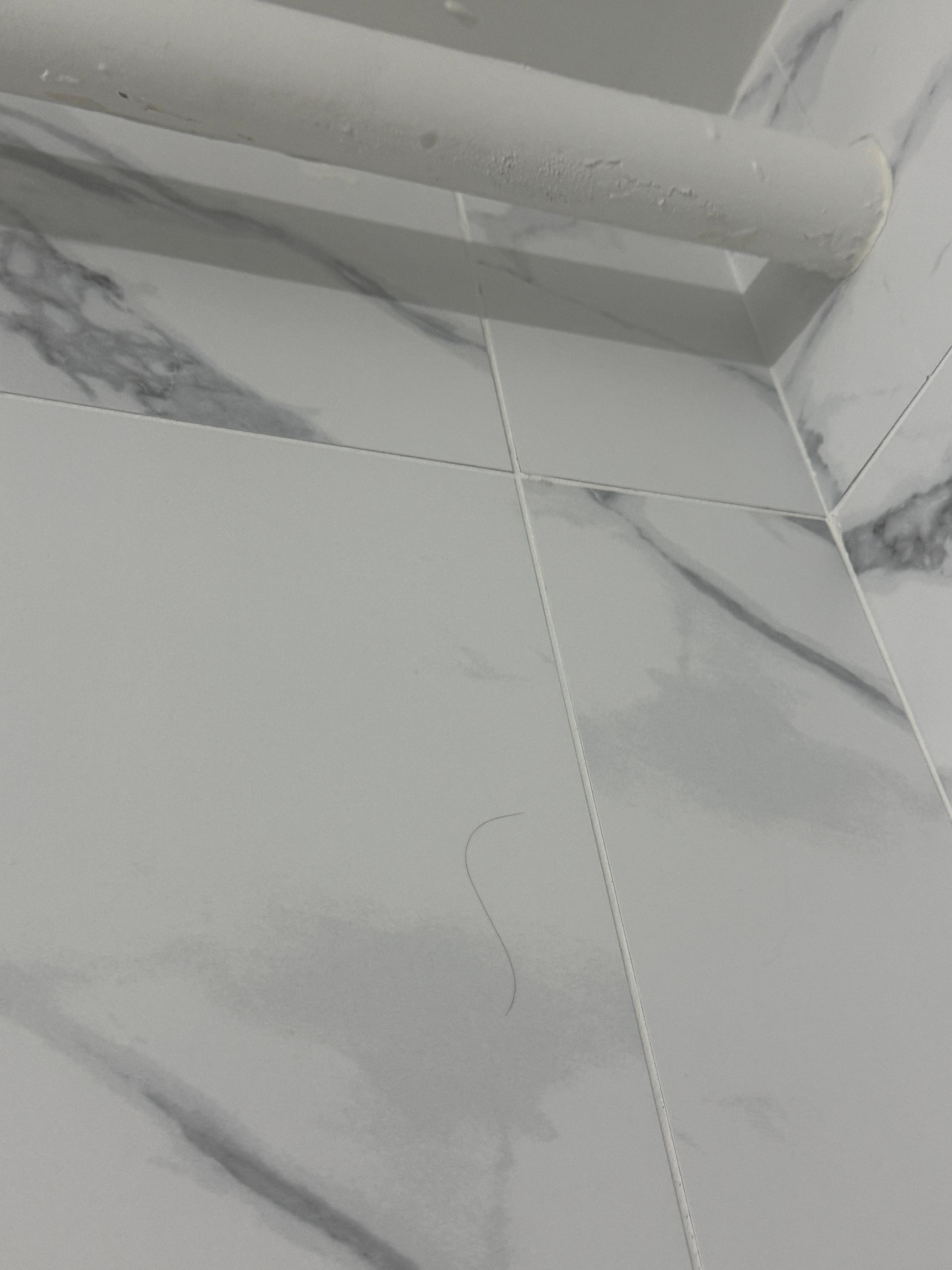 Hair everywhere. Slat missing in outside blinds. 