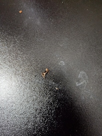 Little roach on desk in the room