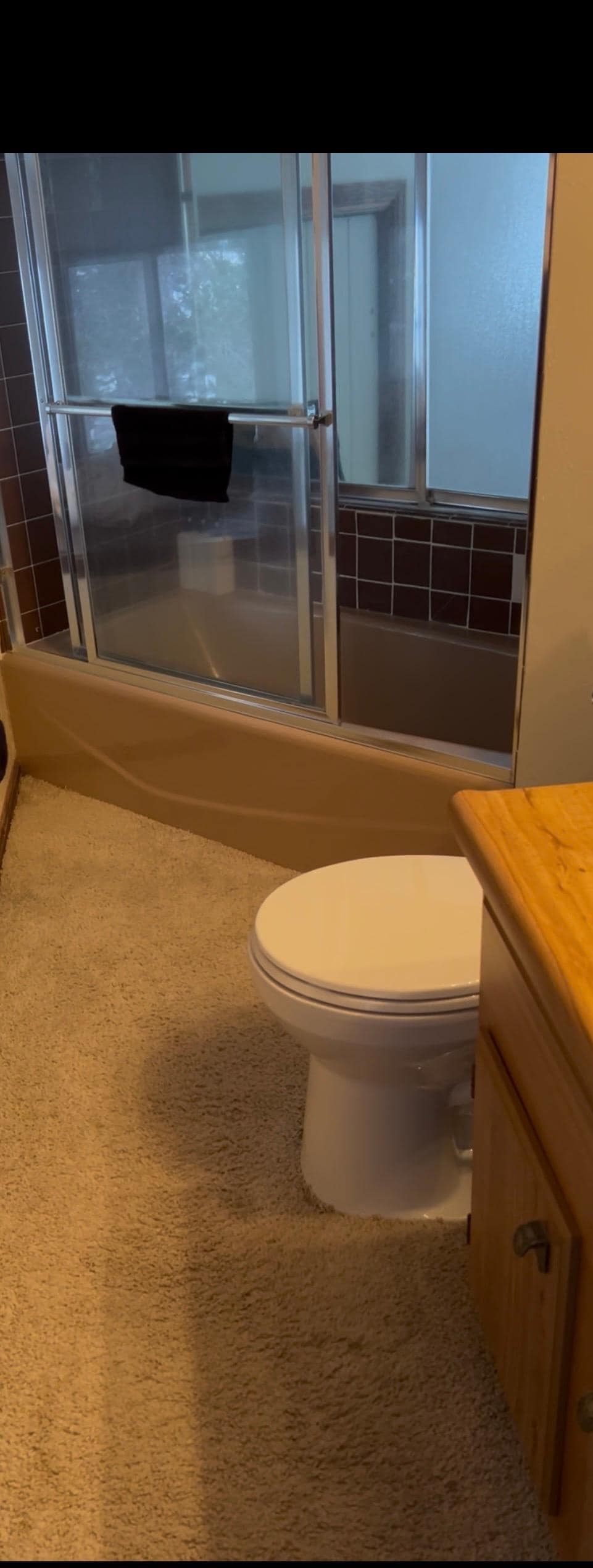 Carpeted bathroom loft