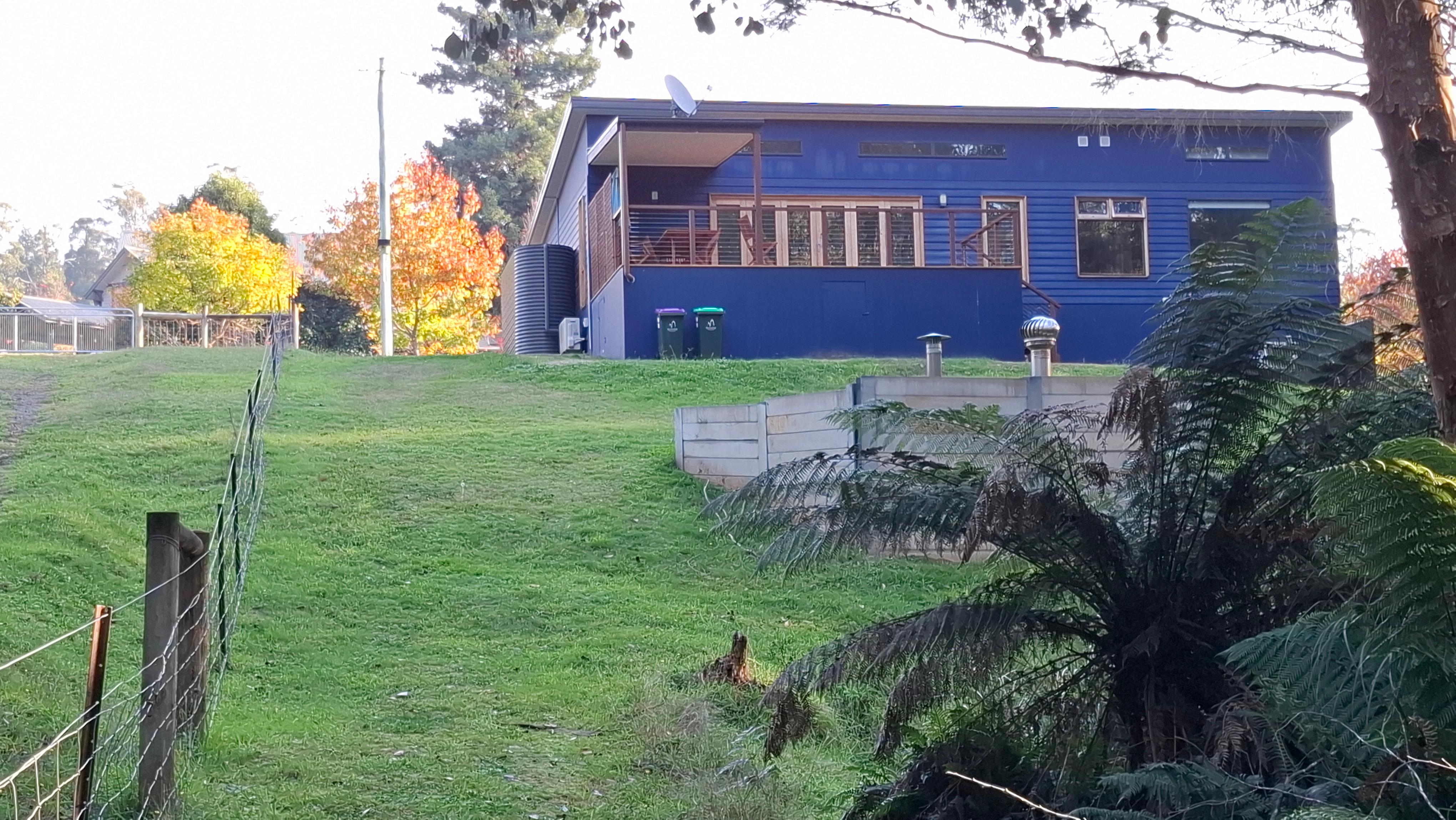 the house from the back yard