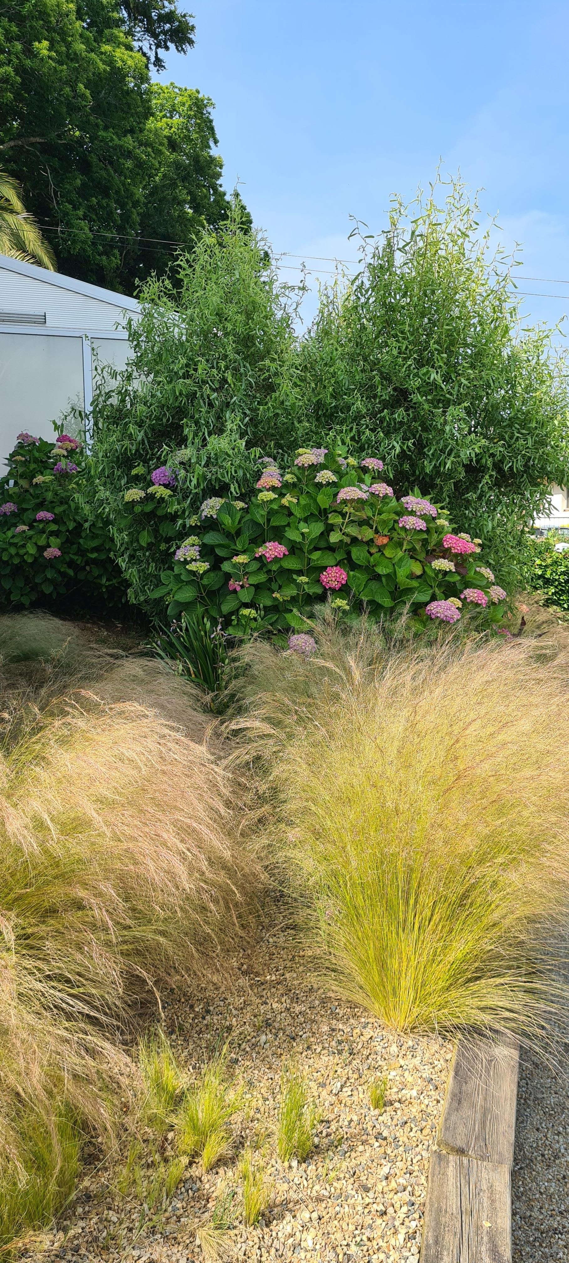 Garten der Ferienwohnung