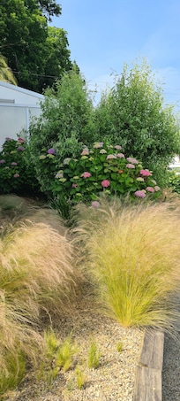 Garten der Ferienwohnung