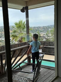Enjoying the view