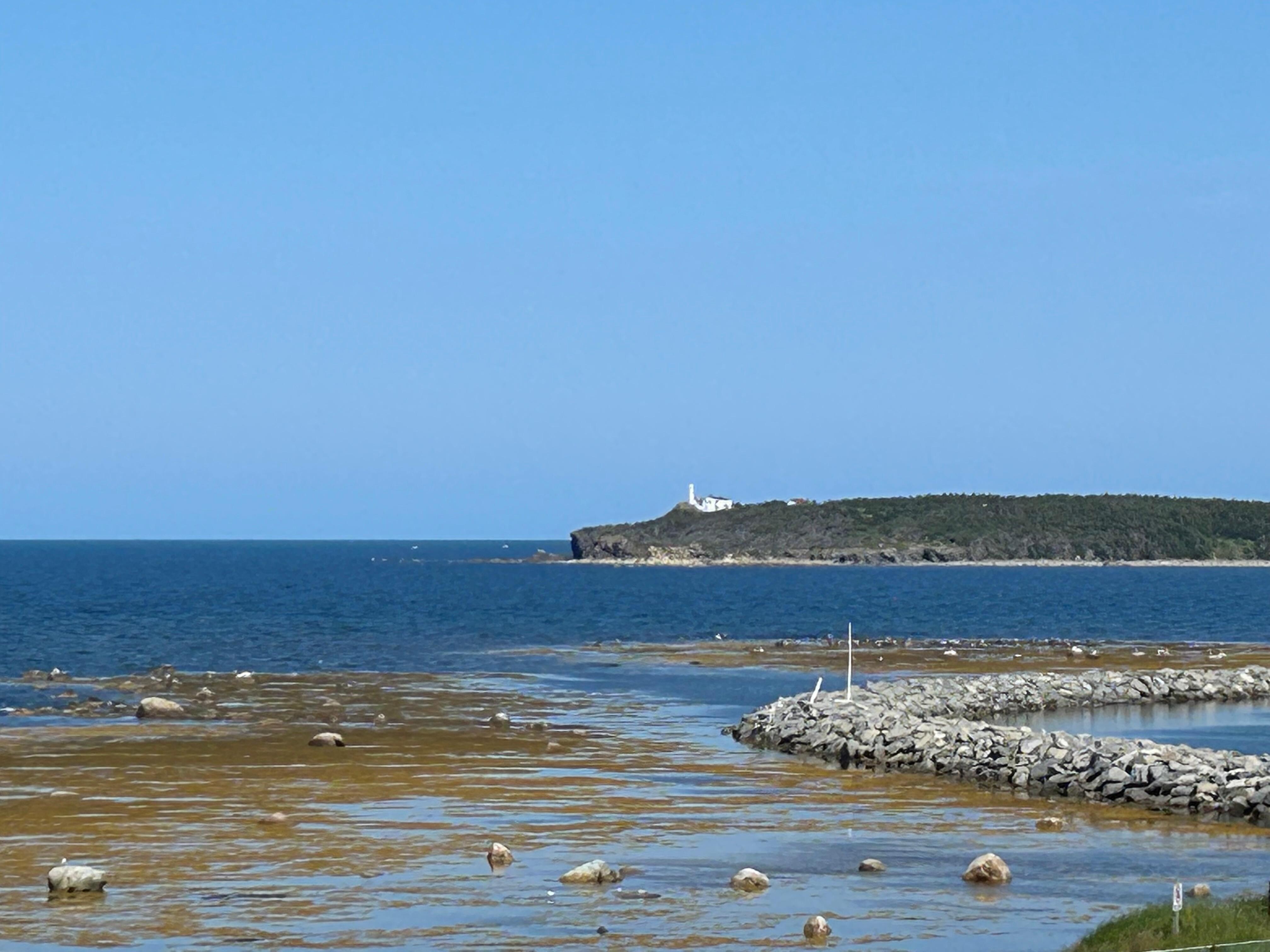 View from the deck, Lobster Cove lighthouse a great place to explore off in the distance.