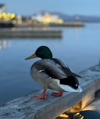 Nydelig vær denne siste helga i september.
