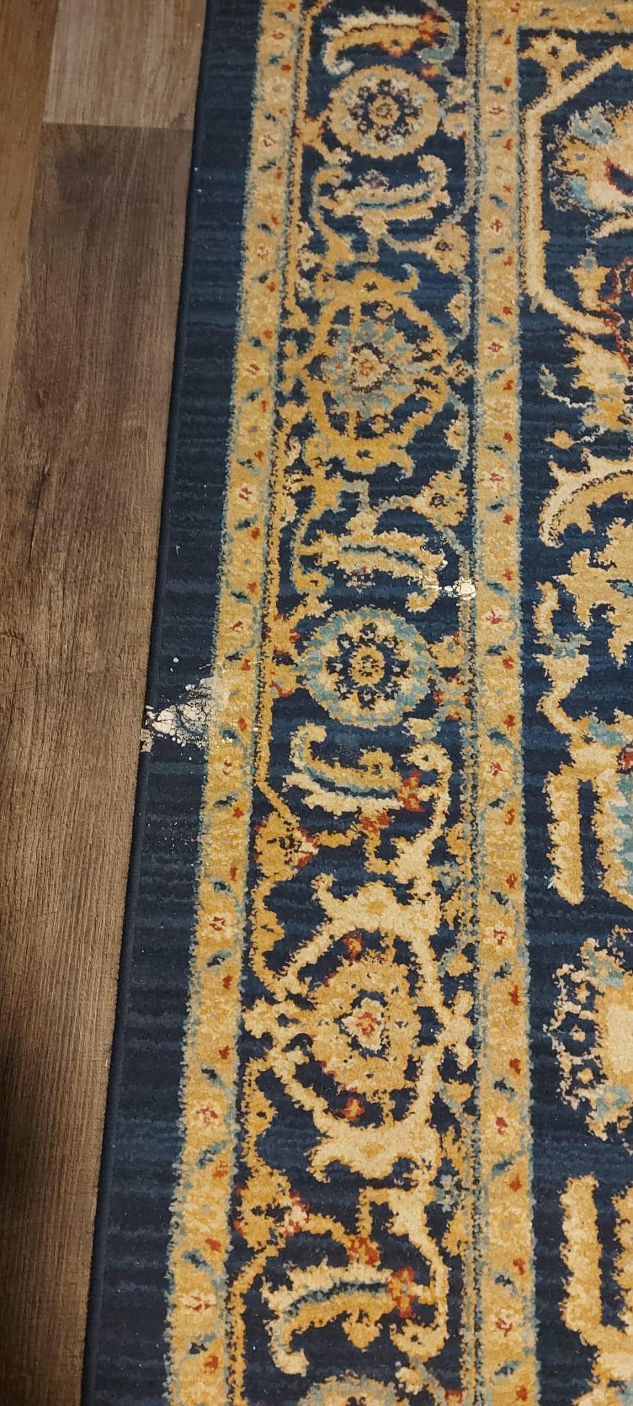 Teppich im Schlafzimmer dreckig durch Farbflecken