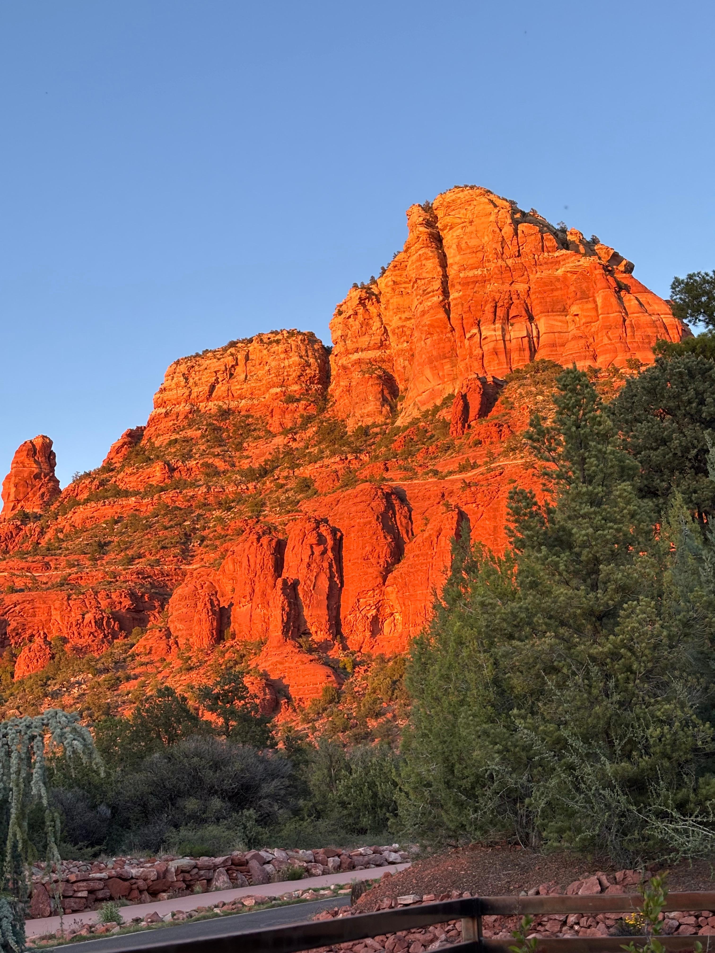 Photo from front yard.