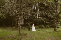 Our first look in the backyard