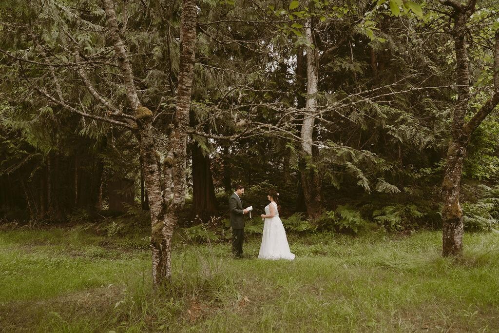 Our first look in the backyard