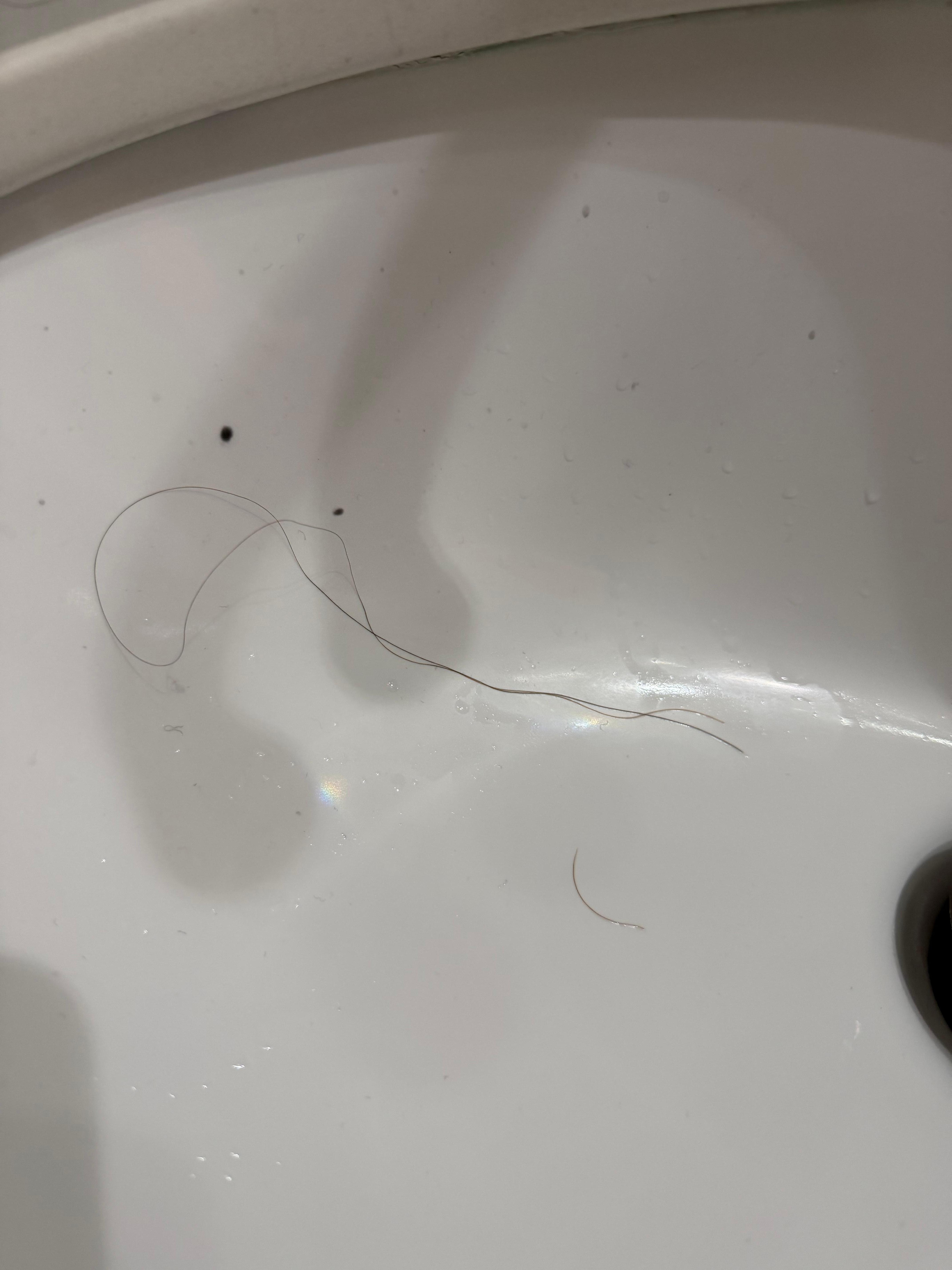 Hair from previous guests