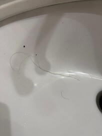 Hair from previous guests