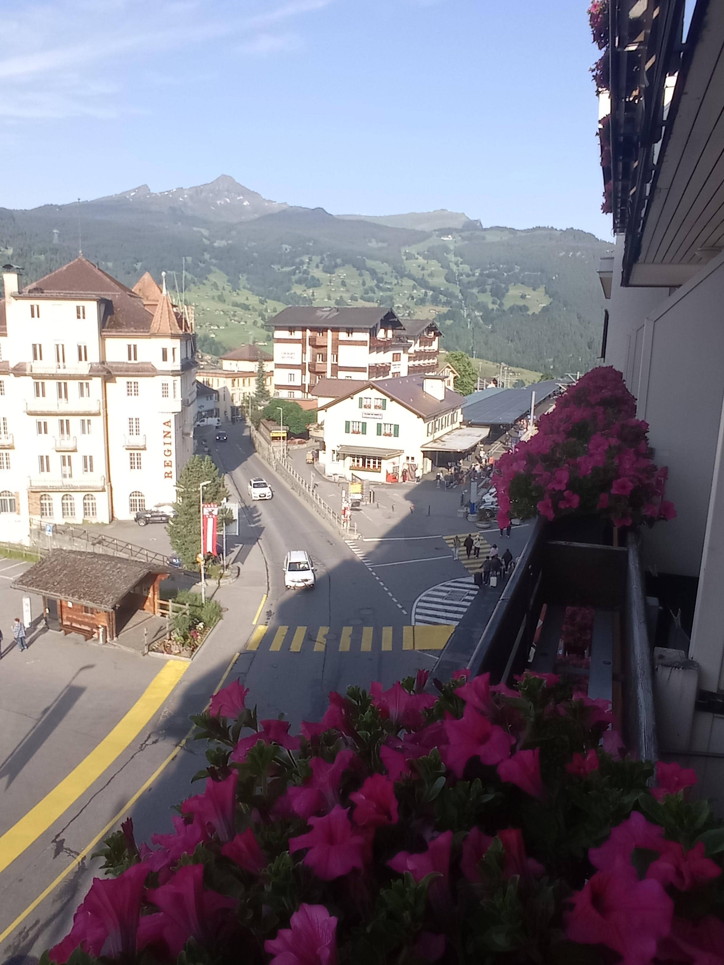 View from room