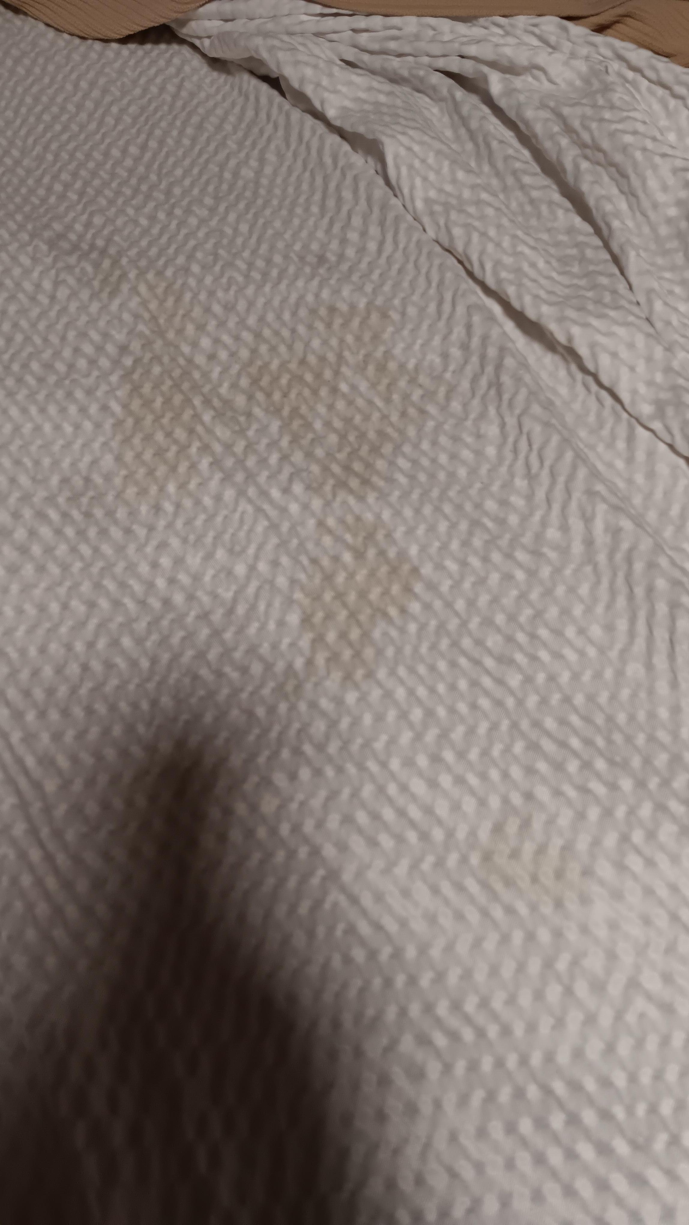 Stains on the bed cover and the manager says they're clean you could fool me