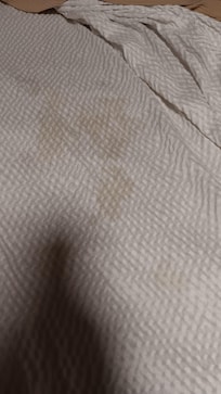 Stains on the bed cover and the manager says they're clean you could fool me