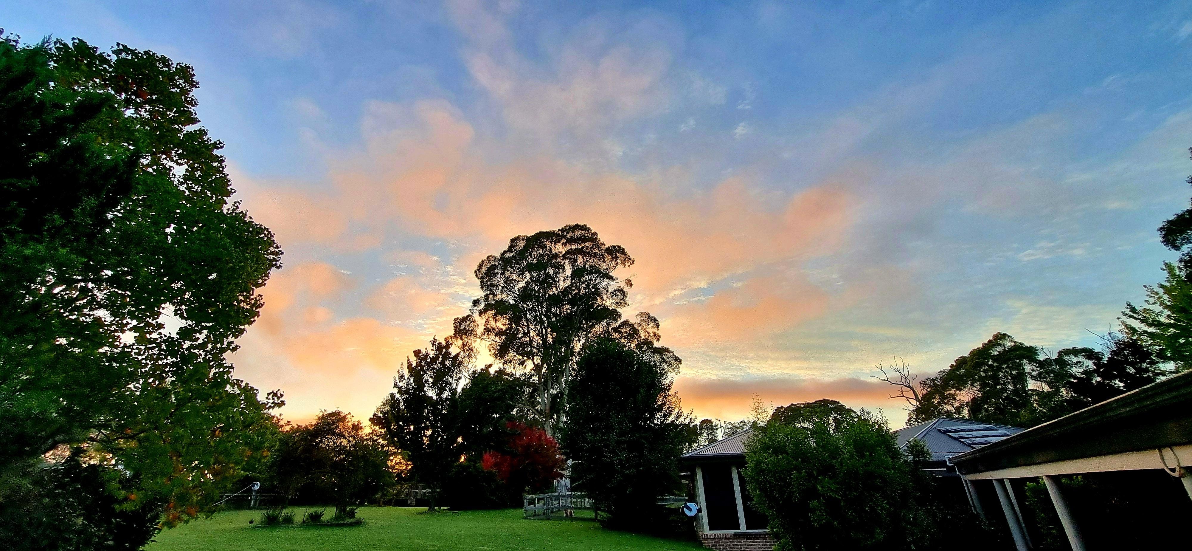 Beautiful sunrise a view of the back yard
