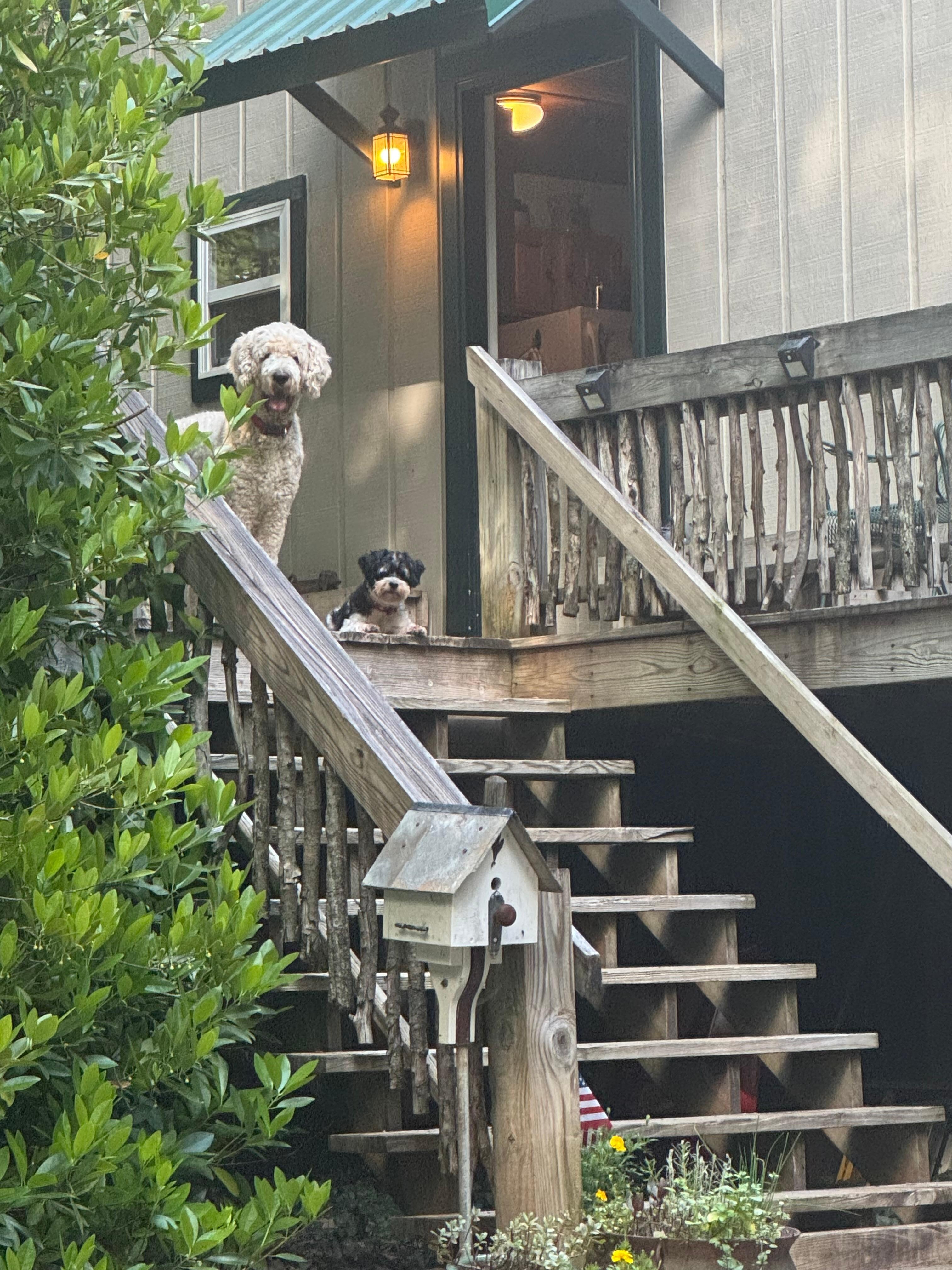 Porch life