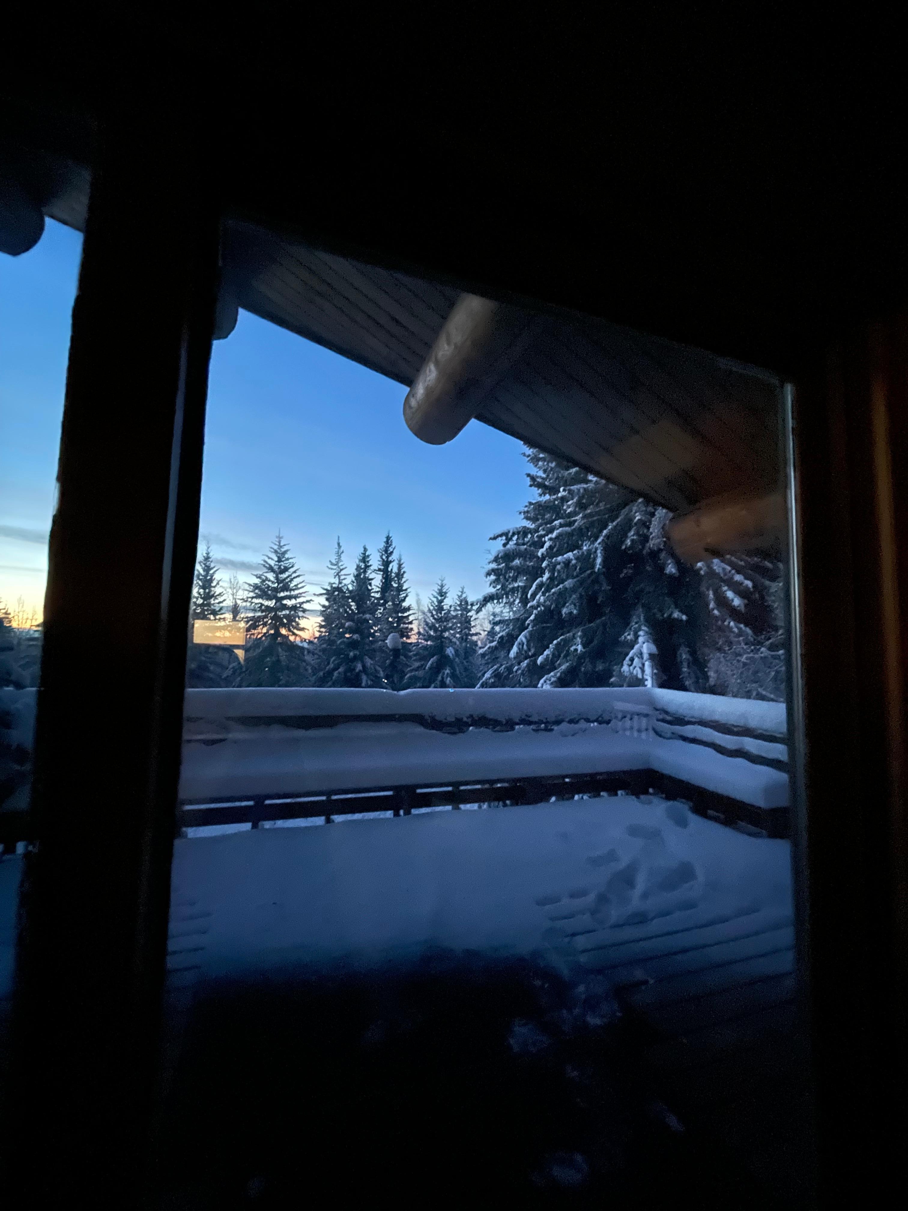 View from the living area 